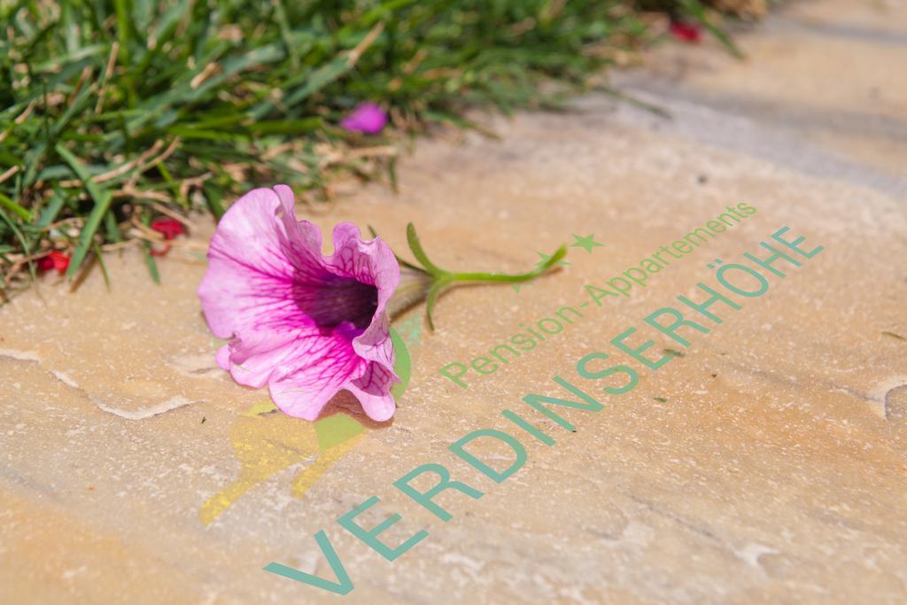 Pension Verdinserhoehe เชนนา ภายนอก รูปภาพ